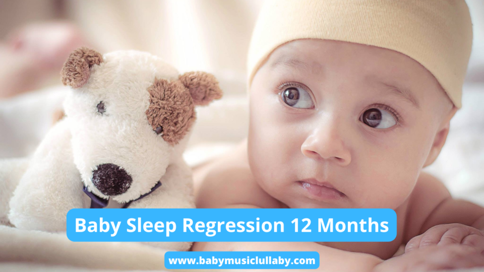 Baby Sleep Regression 12 Months
