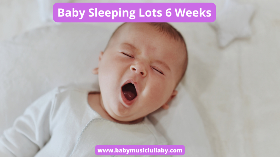 Baby Sleeping Lots 6 Weeks